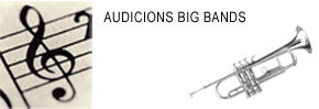 AUDICIONS I FESTA FI DE CURS